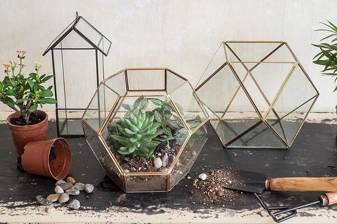 Add some welcome colour to your desk with natural elements. This terrarium comes with brass edges with a unique honeycomb shape.