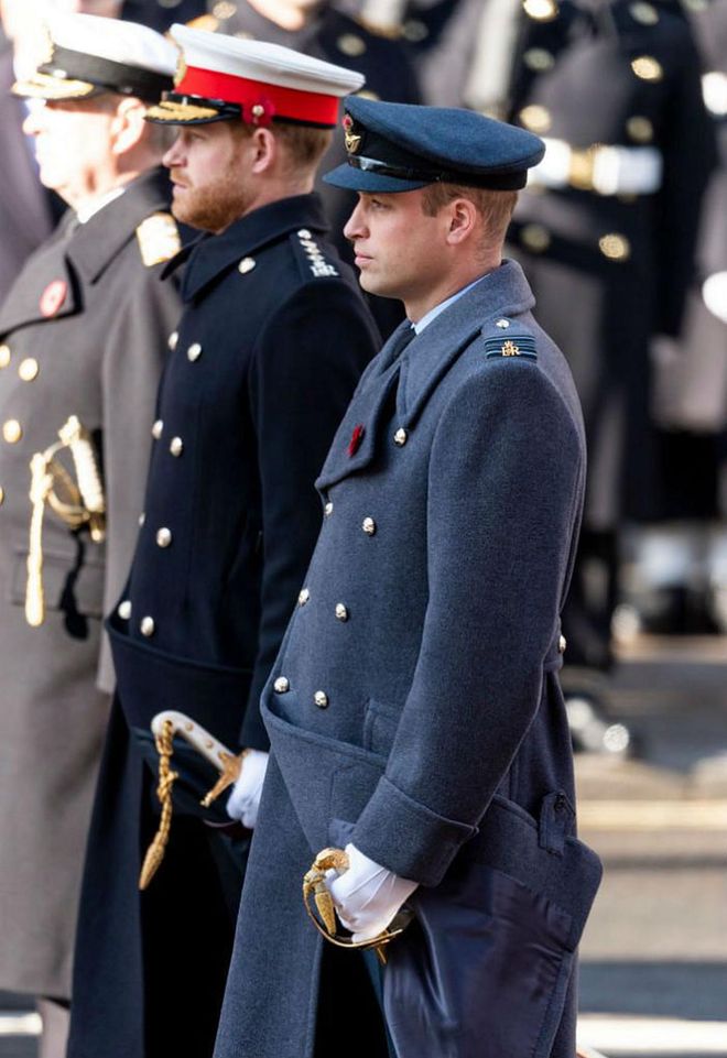 The royal brothers stand side-by-side during the Remembrance Sunday memorial.

Photo: Getty