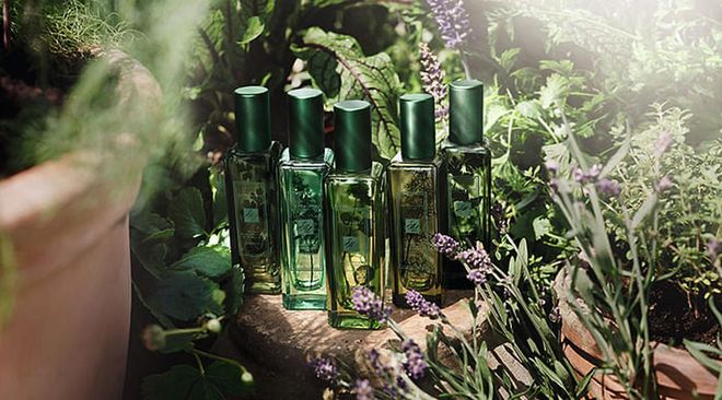 jo malone london herb garden perfume