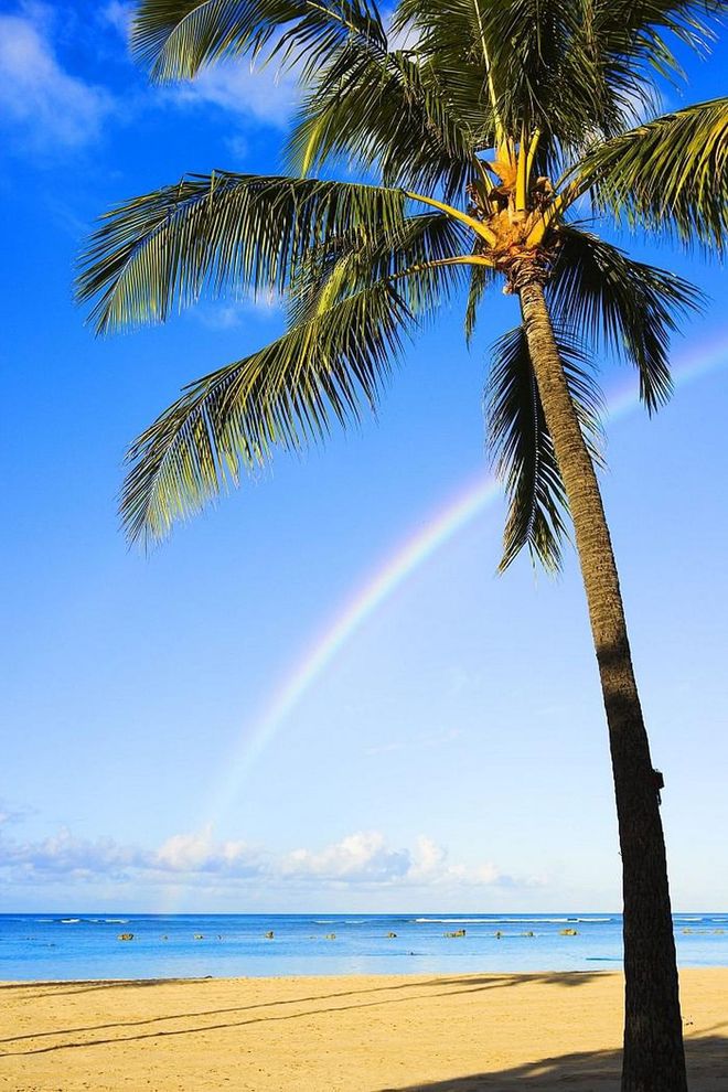 Did you know this city is the rainbow capital of the world? It's located next to Oahu's windward mountains, which produce daily rain showers that are often followed by sunshine, resulting in tons of these colorful meteorological phenomenons.