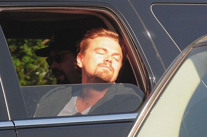 That time Leo morphed into a golden retriever puppy and stuck his head out the car window.