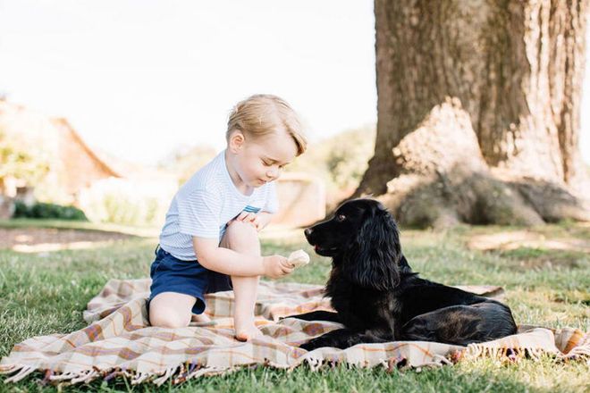 Prince George Was "Too Spoilt" For His Birthday, Says Prince William