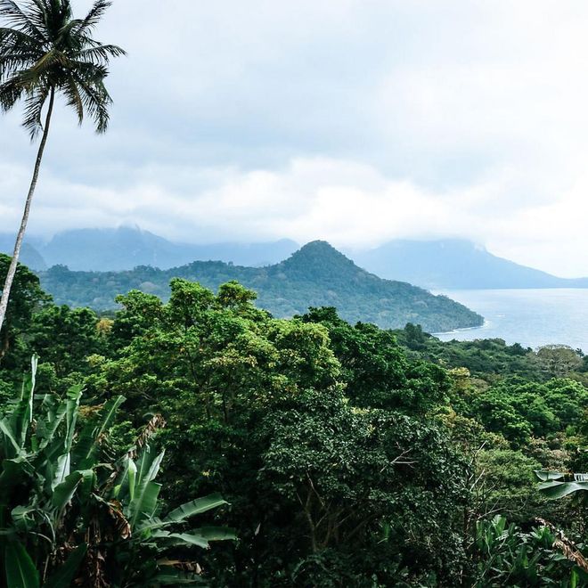 A strange, ethereal intersection of three disparate worlds—Africa, Portugal and the Galapagos—the islands of Sao Tome and Principe have begun to entice European holiday makers with the country's singular blend of off-the-grid charm, buoyed by the smiles of 200,000 locals. “It truly is the perfect place to detach yourself from the rest of the planet and live the ‘moli moli’ way of life,” says Kyte of Steppes Travel, who is slowly seeing an uptick in travelers coveting these pristine beaches instead of the more usual European haunts.

For the American traveler it’s the perfect add-on to a Portuguese foray (the islands were once an Iberian colony); with easy direct flights from Lisbon, think of this as the new Azores. Base yourself at one of HBD Principe’s lodges: be it forested Sundy Praia, beachside Bom Bom, or historical Roça on Principe, or Omali on busier Sao Tome. Photo: Getty