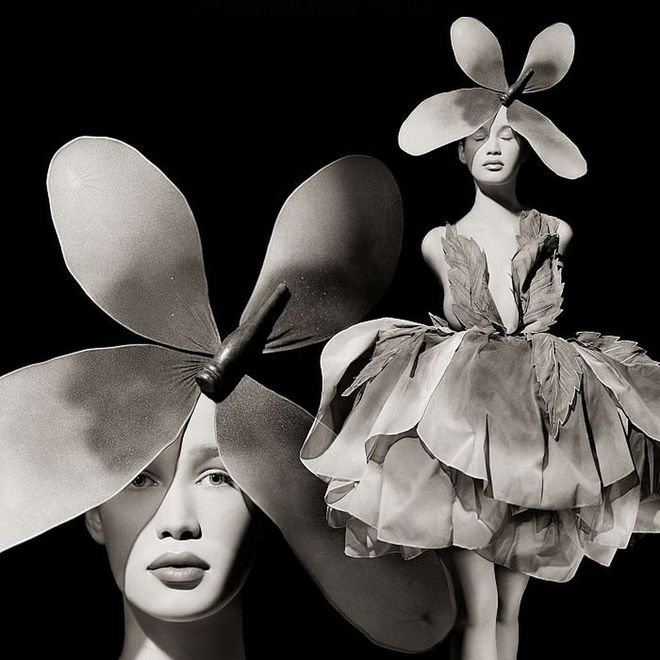 Anitta, Flower Gown, The Surreal Thing Series, New York. Photo: Matthew Rolston