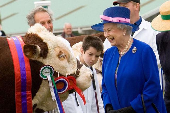 The Queen at the Great Yorkshire Show with the prize-winning bull.