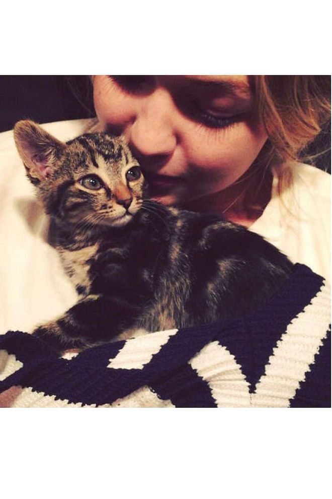 The model's kitten, adopted last summer, even has her own Instagram account: @therealcleohadid. Photo: Instagram