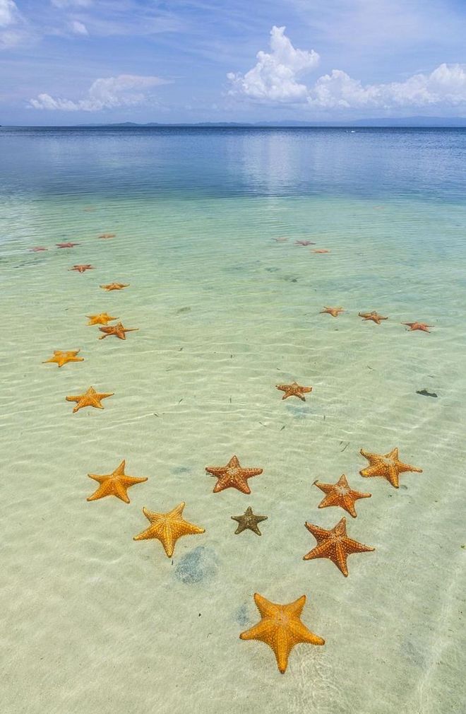Since the shoreline of this beach is shaped like a bay, it doesn't catch any swell, making the water quiet and relaxed. Apparently, starfish love this atmosphere because they flock to this beach by the hundreds.