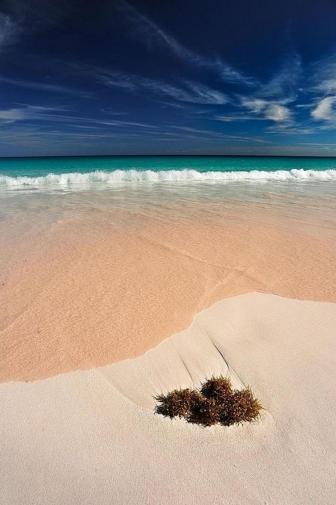 If you can't get enough Millennial Pink, you're going to fall hard for this pink sand beach. It's located along the island's Atlantic Ocean side and is the result of the sand being filled with microscopic coral insects called Foraminifera, which have a pink shell.