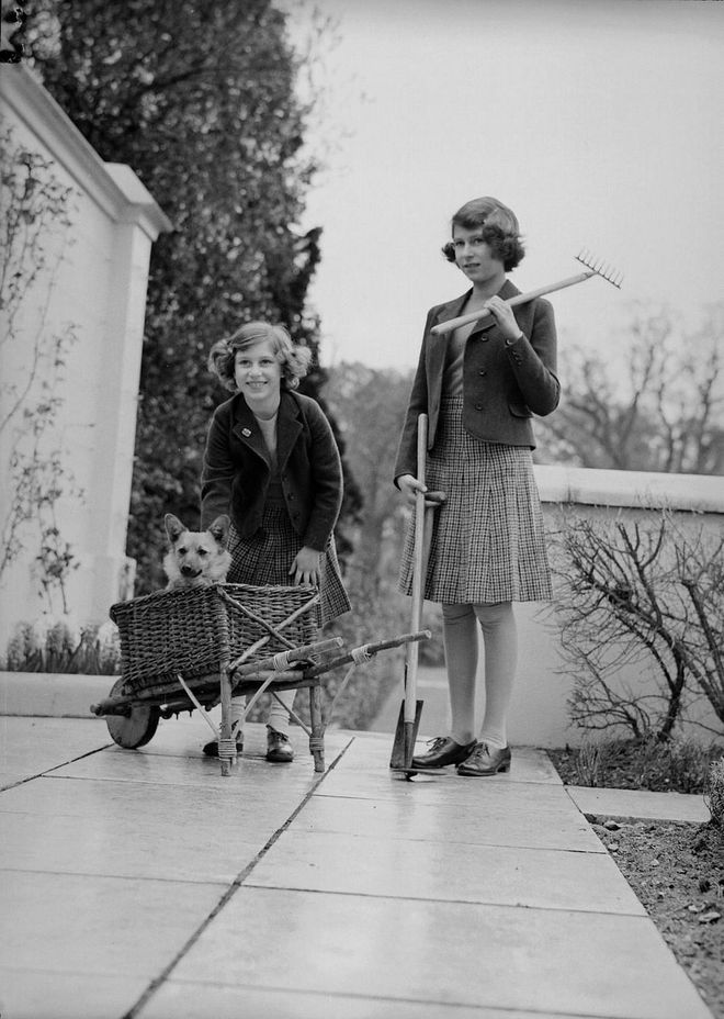 Margaret and Elizabeth were photographed again at the Royal Lodge in Windsor with gardening equipment and a helpful sidekick— one of their pet corgis.
Photo: Getty 