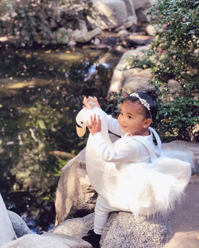 Khloé Kardashian shared a picture of her daughter True's adorable Swan Lake costume on Instagram.

