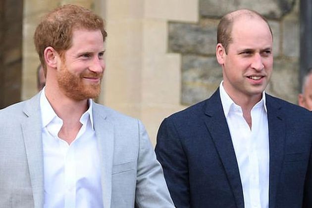 Prince Harry And Prince William To Split Money From Princess Diana's Memorial Fund