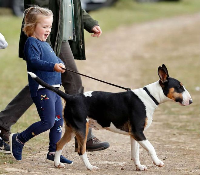 Zara and Mike Tindall's four-year-old daughter Mia will join the bridesmaids on the day.