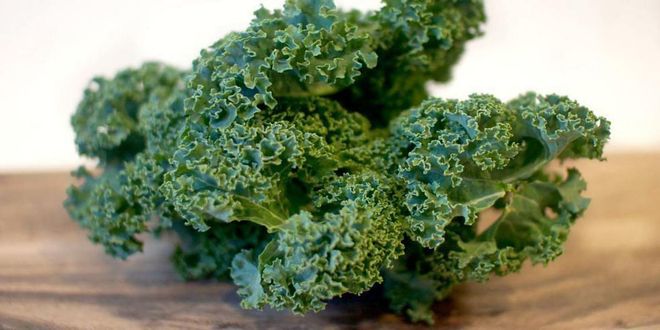 Kale, Superfood