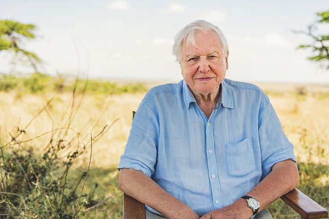 A film still of Attenborough in the documentary 'David Attenborough: A Life on Our Planet' (Photo: 123RF)

