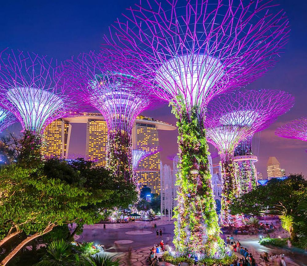 Illuminated Supertrees and Skywalk in Gardens by the bay in Singapore at night. (Photo: Getty Images)
