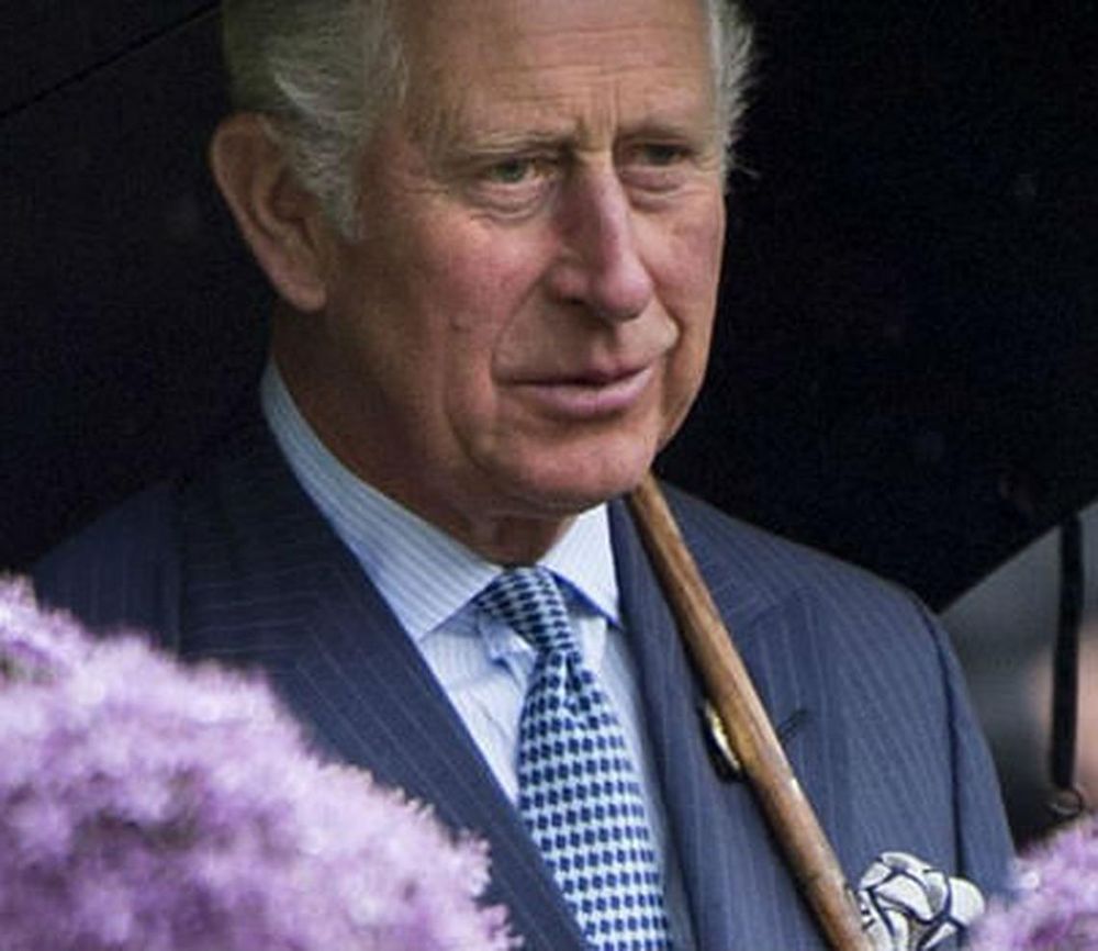 Prince Charles views the Great Broad Walk Borders