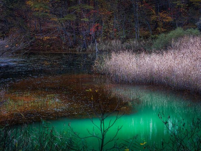 This image, taken in the autumn of 2019, showcases a series of ponds and lakes collectively known as Goshikinuma. Due to the chemical makeup of the ponds, which were affected when Mount Bandai erupted in 1887, the water can appear emerald green, cobalt blue, or sometimes even reddish.