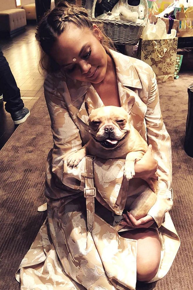 Chrissy Teigen's dog Pippa makes regular appearances on her Instagram and Snapchat accounts.
Photo: Instagram