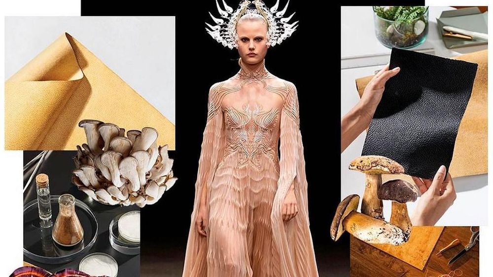 Why Luxury Brands Like Hermès And Stella McCartney Are Turning To Mushrooms
