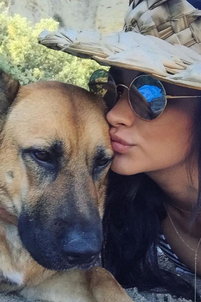 Shay Mitchell's dog Angel is as sweet as his name.
Photo: Instagram