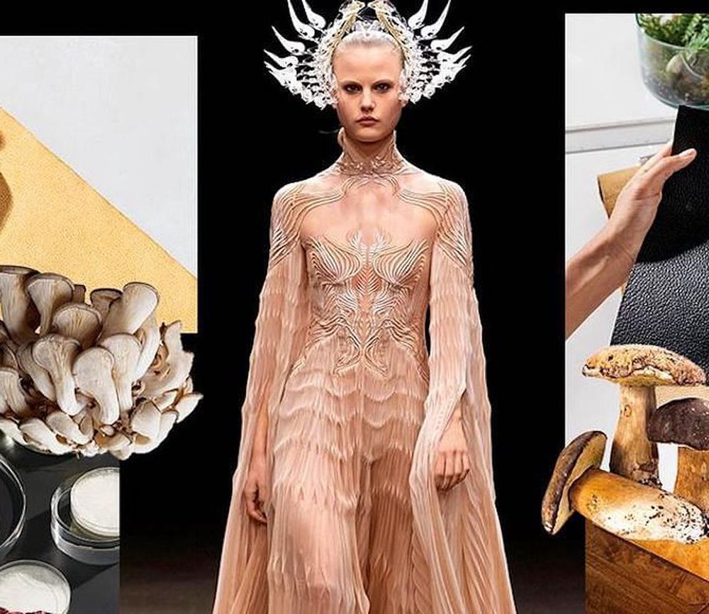 Why Luxury Brands Like Hermès And Stella McCartney Are Turning To Mushrooms