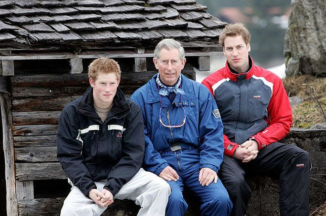 Prince Charles, Prince Harry, Prince William