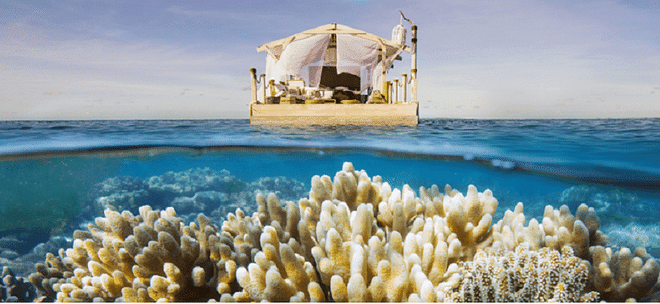 airbnb great barrier reef