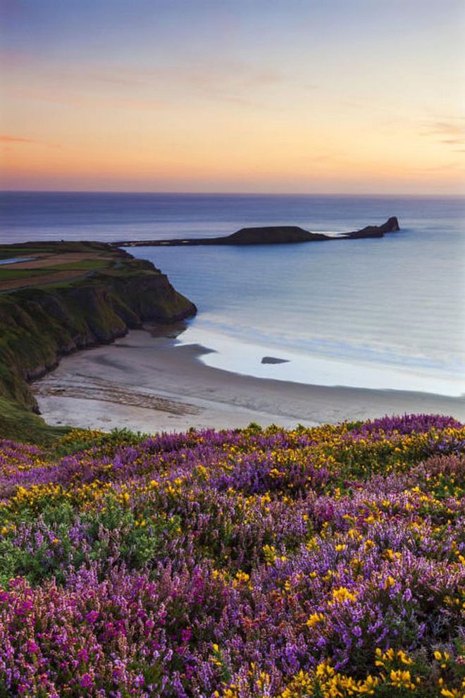 The UK has some gorgeous beaches—even if the weather isn't ideal for sunbathing. Rhossili Bay on the tip of Gower Peninsula in Swansea is particularly pretty–just look at those blooms.
