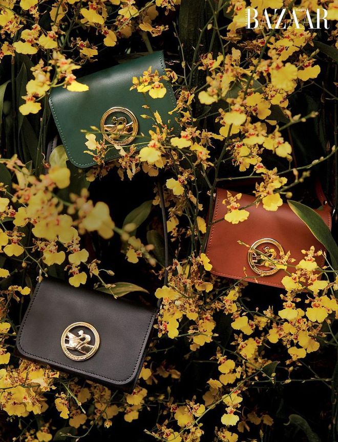 Box-Trot coin purses with shoulder straps, Longchamp.