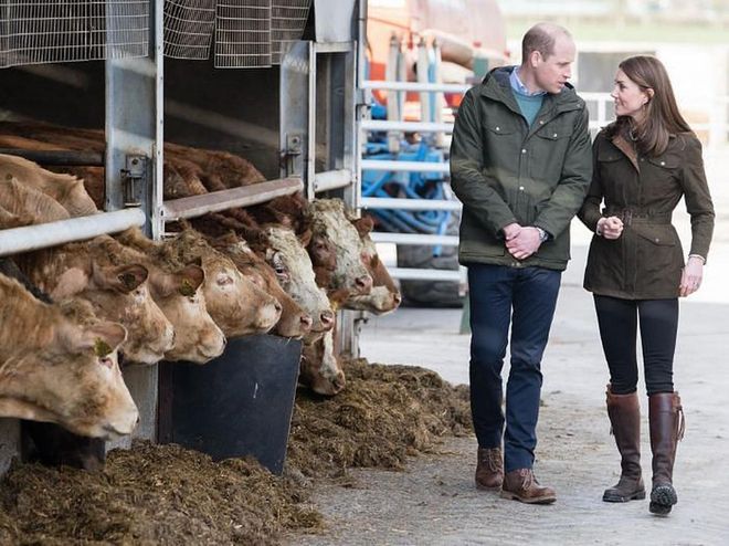Kate and William talk and walk with each other through the farm.

Photo: Getty