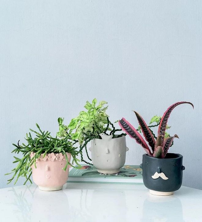 If your desk is in need of some character, why not consider a member of the misfit gang? Have a desk plant housed in one of the beautifully quirky ceramic pots by homegrown label Tumbleweed to spice up your desk.