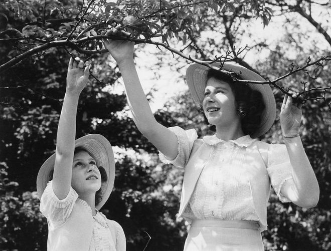 Margaret and Elizabeth grew up with a range of family pets, from their beloved corgis to...pet chameleons? Yup. The royals had a pet chameleon, as seen here on the grounds of Windsor Castle in 1941.
Photo: Getty