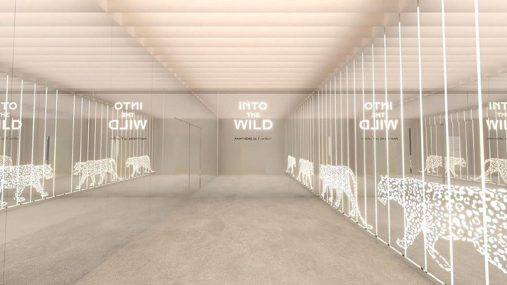 'Into The Wild' Panthere de Cartier - Community Room