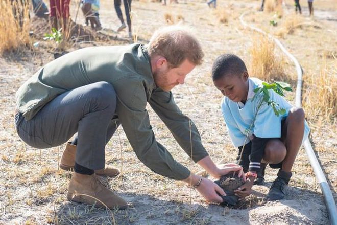 Prince Harry in Kasane, Botswana