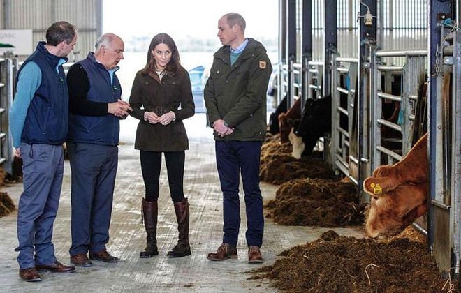 The Cambridges talk with Eddie O'Riordan and Paul Crosson during their visit to Teagasc Research Farm.

Photo: Getty