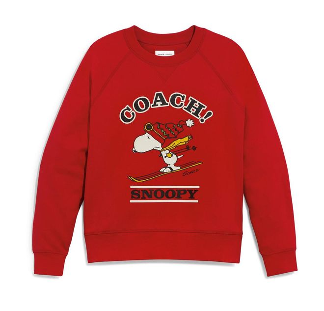 Snoopy Sweatshirt, Price Unavailable, Coach