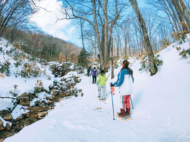 Snow trekking is the perfect off-the-slope activity to experience the fresh powder snow.