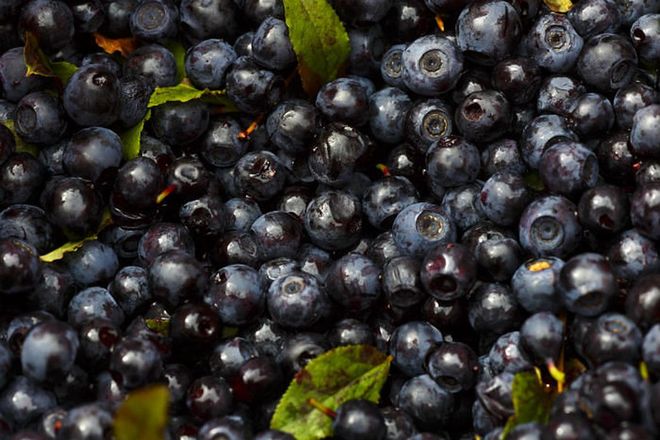 Like the acai berries, these tart blue pellets are rich in anthocyanins.  They’re also high in vitamins A, C, and E which work to keep cells and tissues well protected from damaging free radicals that accelerates ageing and halts the growth of cancer cells. Furthermore, they provide every bite with a lovely burst of flavor. Photo: Getty
