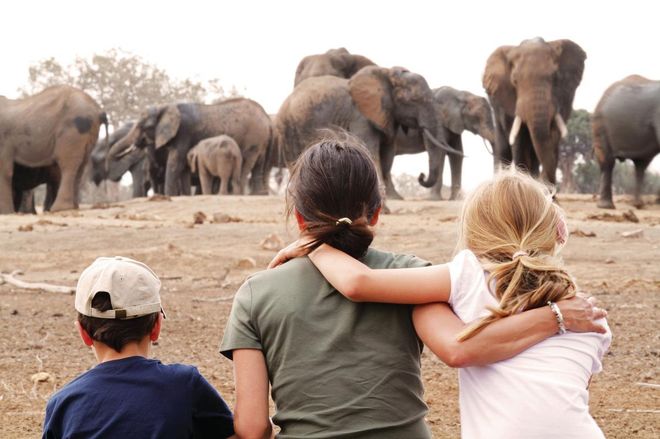 Incredible moments shared—herd watching on safari