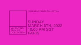 Valentino Pink PP Collection