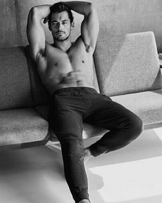Looks like this while lounging on a couch. 
Follow at: @davidgandy_official