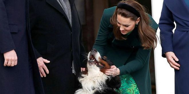Kate pets the president's dog.

Photo: Getty