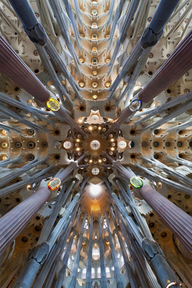 It's definitely worth going inside the Sagrada Família to check out the ceiling.