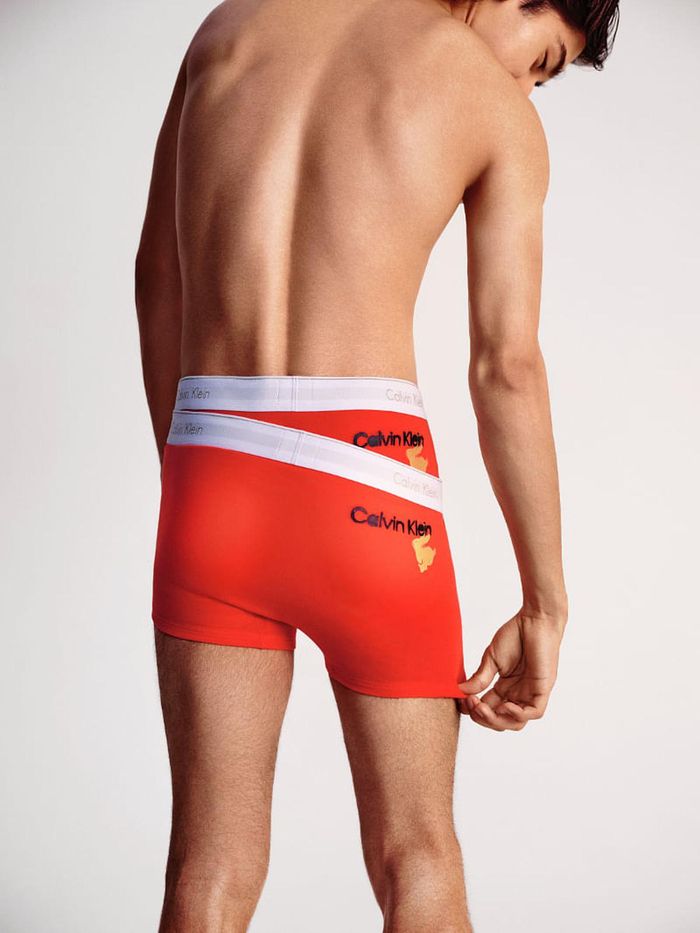 Calvin Klein Underwear Briefs & Boxers for Men - Shop Now at Farfetch Canada