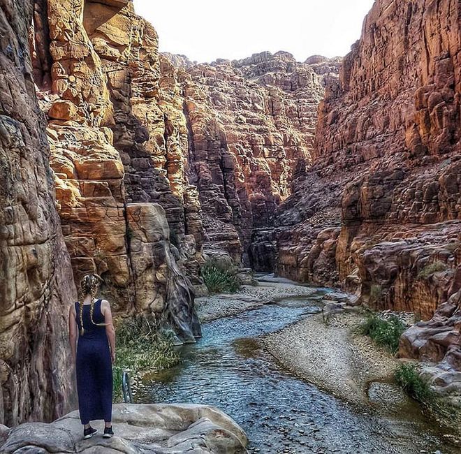 Located near the Dead Sea, this is the lowest nature reserve at 400 meters below sea level. While you go on a (long) hike, you can see more than 300 types of plants alongside rare species of mountain animals and cats roaming around the area. 

TIP: Wear waterproof shoes as you will walk on slippery surfaces. 
Photo: Instagram