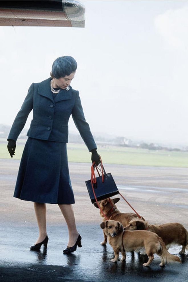 The Queen, and her Corgis, arrive for their summer holiday in Scotland, 1971.