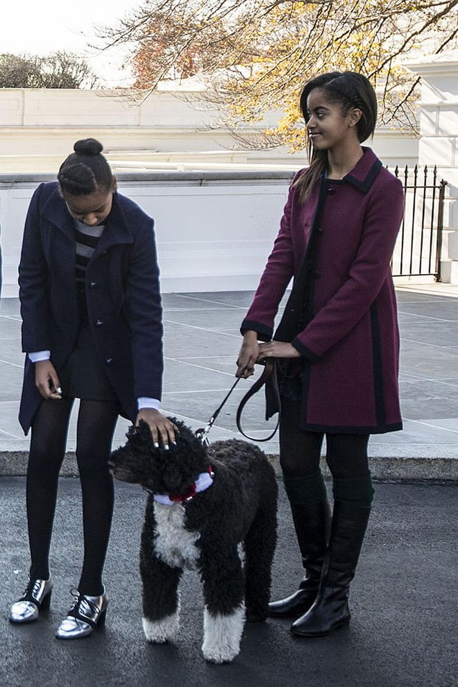 Posing with family dog Bo Obama at the White House during the Christmas tree presentation. Photo: Getty