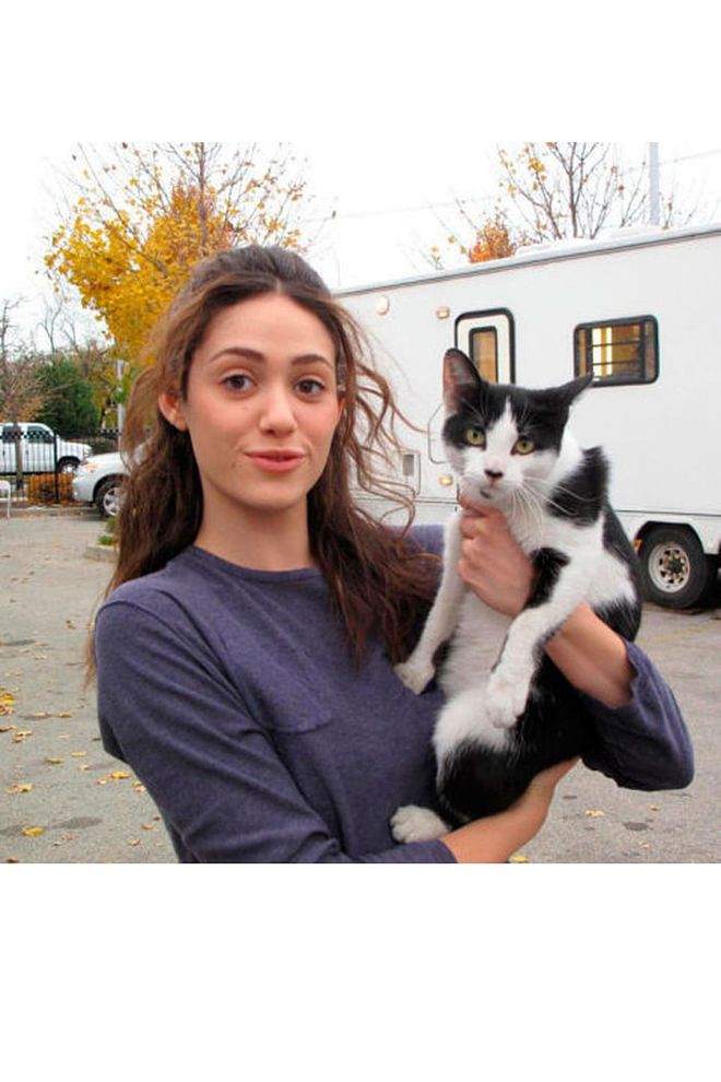 The actress found her stray cat, Fiona G, on the streets of Chicago in 2010 and now campaigns regularly for various pet-adoption causes. Photo: Twitter