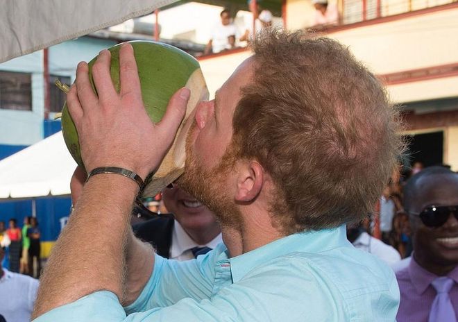 File under: Prince Harry day-drank out of a coconut, so I day drank out of coconut. And this picture isn't even the first time—once, Harry was seen at a Miami stag party coconut-drinking after his split from then-girlfriend Cressida Bonas.