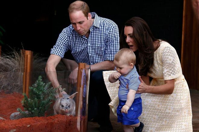 On one of her first trips as a mom, the Duchess holds Prince George at the Taronga Zoo in Sydney, Australia as they admire the animals.
Photo: Getty